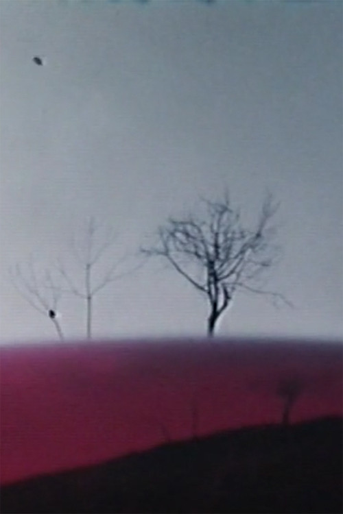 Ho fatto un film a Varese 1° Poster
