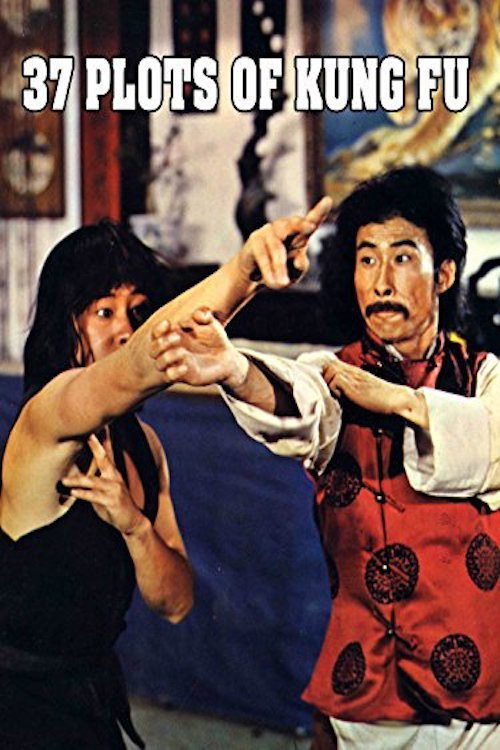 37 Plots of Kung Fu Poster