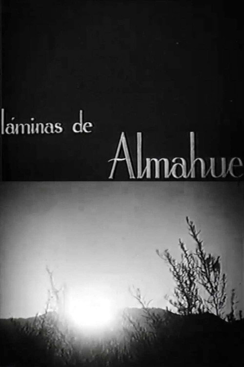 Láminas de Almahue Poster